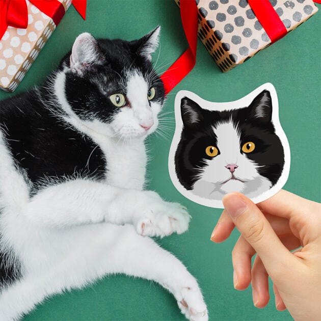Comparison of a real cat photo and a Custom Hand-Drawn Cat Stickers
