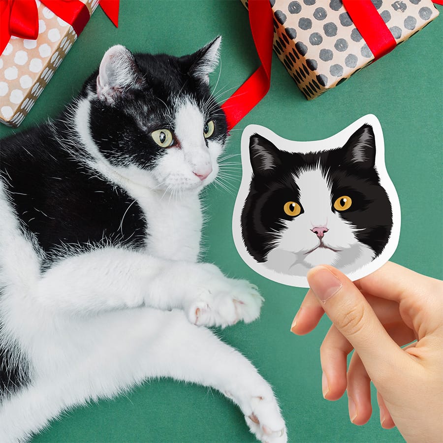 Comparison of a real cat photo and a Custom Hand-Drawn Cat Stickers
