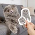 Why Custom Hand-Drawn Pet Stickers are the Ultimate Gift for Cat Lovers